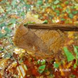 好吃入味的渣渣牛肉