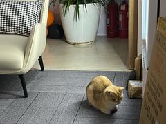 -布瑞琳洗衣(西堤红山店)