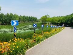 -东郊湿地公园
