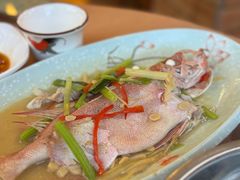 -抱德·潮汕味(敦和店原惠城鱼仔)