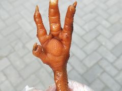 -鸡脚旮旯平江路店