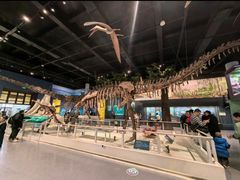 -国家自然博物馆