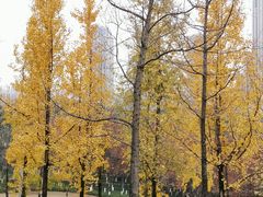 -重庆中央公园(渝北区)