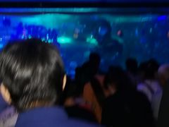 -大明湖海底世界