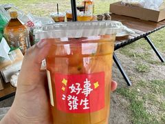 -春花秋色城市公园