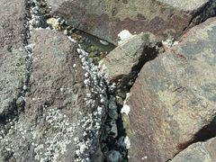 -台场海滨公园船码头