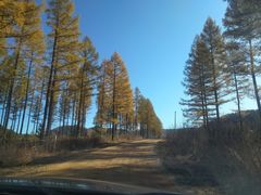 -塞罕坝国家级自然保护区