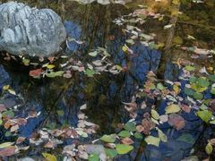 -静之湖湖畔餐厅