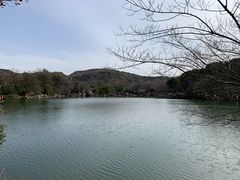 -白马涧龙池景区