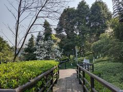 -重庆彩云湖湿地公园