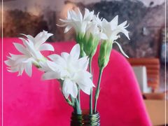 -Cooking Man(中懋天地店)