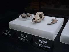 -河姆渡遗址博物馆