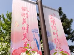 -海棠花溪(元大都城垣遗址公园)