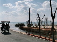 -呈贡滇池生态湿地公园