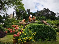 -石排湾郊野公园