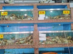 -上海龙吴水胜海发市场