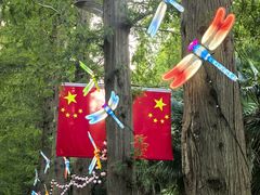 -黄海国家森林公园