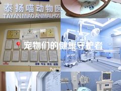 -泰洋动物医院·神经专科·磁共振·CT(天河公园总院)