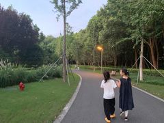 -昆山城市生态森林公园