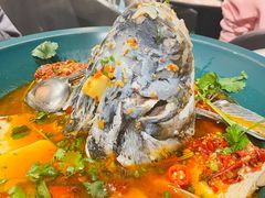 黄晓猫剁椒鱼头-黄晓猫剁椒大鱼头(海岸城店)
