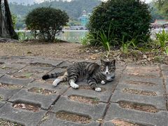 -珠海圆明新园