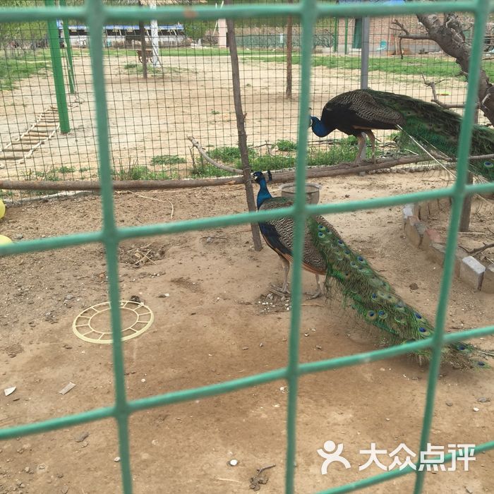 老黄牛耕读园开心农场