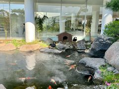 -罗红摄影艺术馆