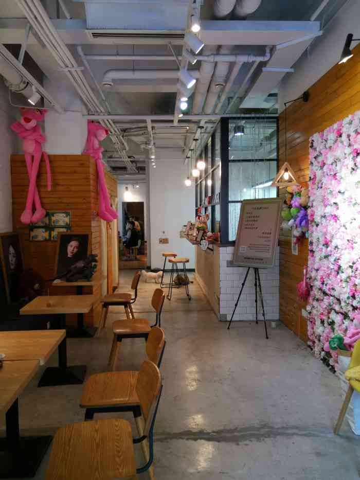 莫凡照相馆(下瓦房店)-"一家有可爱猫咪的文艺照相馆,老板人超级好.