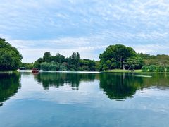 -上海共青森林公园