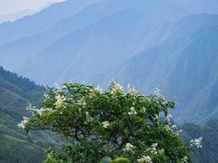 -萍乡武功山风景名胜区