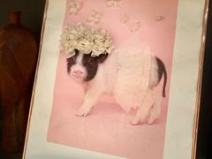 -光舍(香榭里花园店)