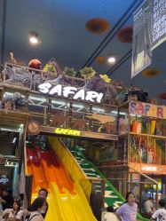 -卡通尼·Safari非洲探索乐园·生日会(金桥国际商业广场店)