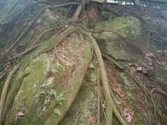 -清源山风景区