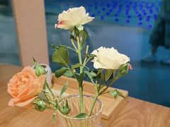 -酒井酱子·深夜食堂(东城汇店)