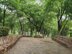 -盘龙城遗址博物院