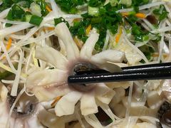 -三猫黑鱼花(南大店)