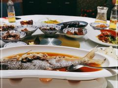 -席家花园(巨鹿花园店)