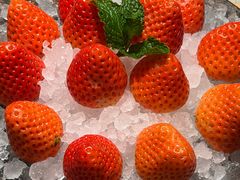 -海底捞火锅(名城广场夜宵生日主题店)