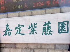-嘉定紫藤园