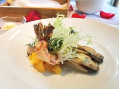 -蝶舍·MAISON PAPILLON