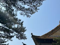 -须弥福寿之庙