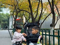 -西安市长乐公园