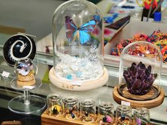 -上海大自然野生昆虫馆(东方明珠·爬宠昆虫探索中心)