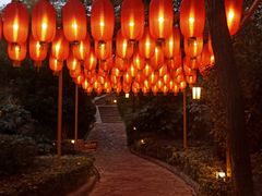 -天目湖涵田半山温泉