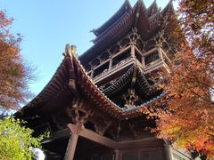 -杭州半山国家森林公园