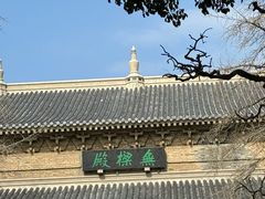 -灵谷景区