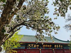 -天津大悲禅院