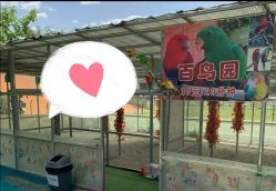 -萌宠亲子动物乐园(槐房万达店)