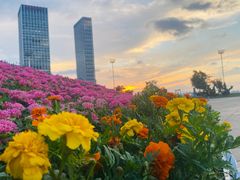 -东港音乐喷泉广场