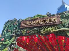 -上海大自然野生昆虫馆(东方明珠·爬宠昆虫探索中心)